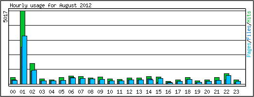 Hourly usage