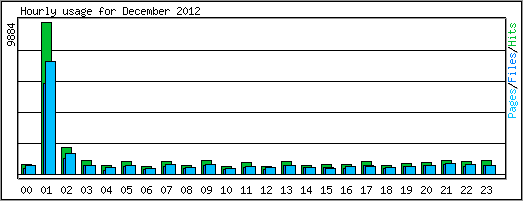 Hourly usage