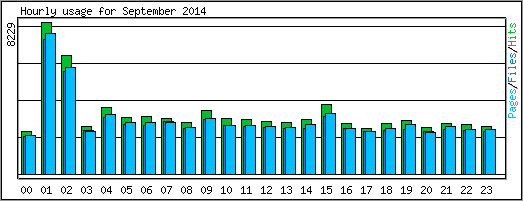 Hourly usage