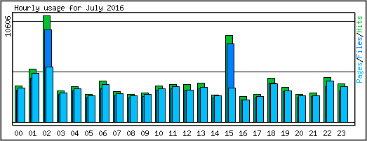 Hourly usage