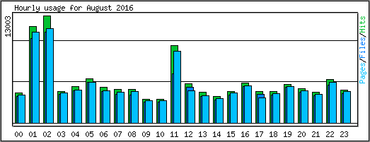 Hourly usage