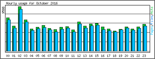 Hourly usage