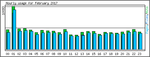 Hourly usage