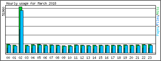 Hourly usage