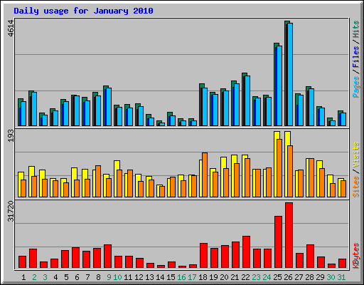 Daily usage for January 2010