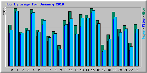 Hourly usage for January 2010