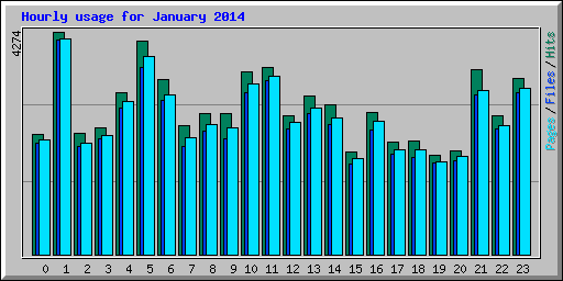 Hourly usage for January 2014