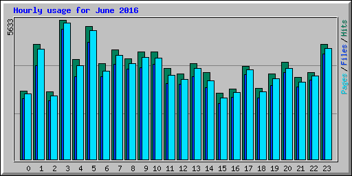 Hourly usage for June 2016